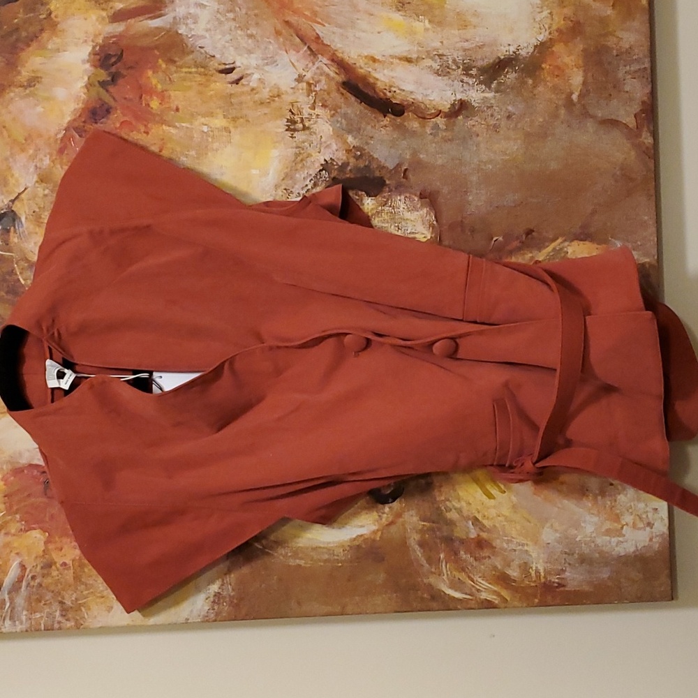 Sz 6 NWT $995 Rosie Assoulin belted vest